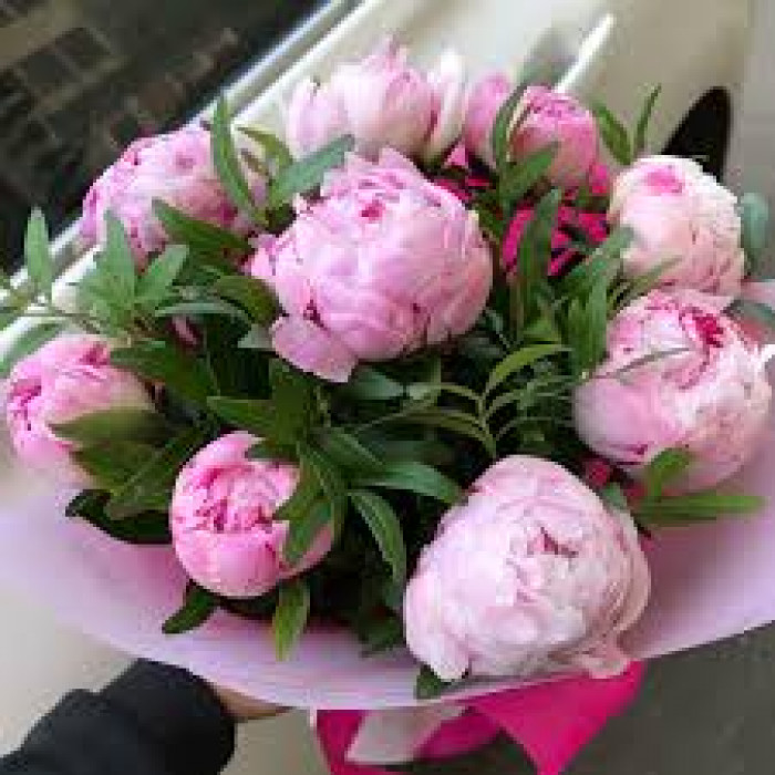 Пион древовидный в Житакаре