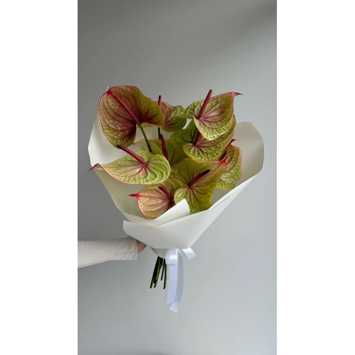 Антуриумы в Житакаре