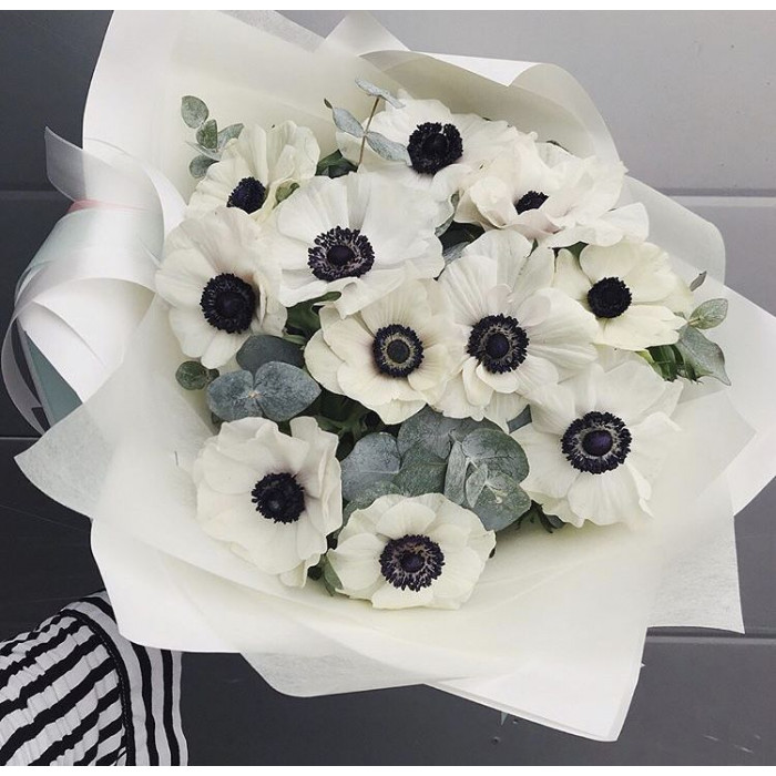 Анемоны в Житакаре