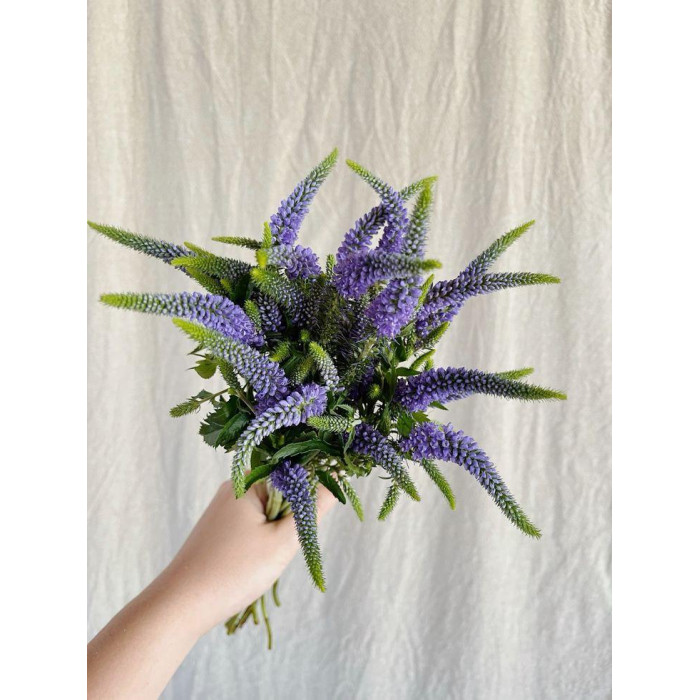 Вероника в Житакаре