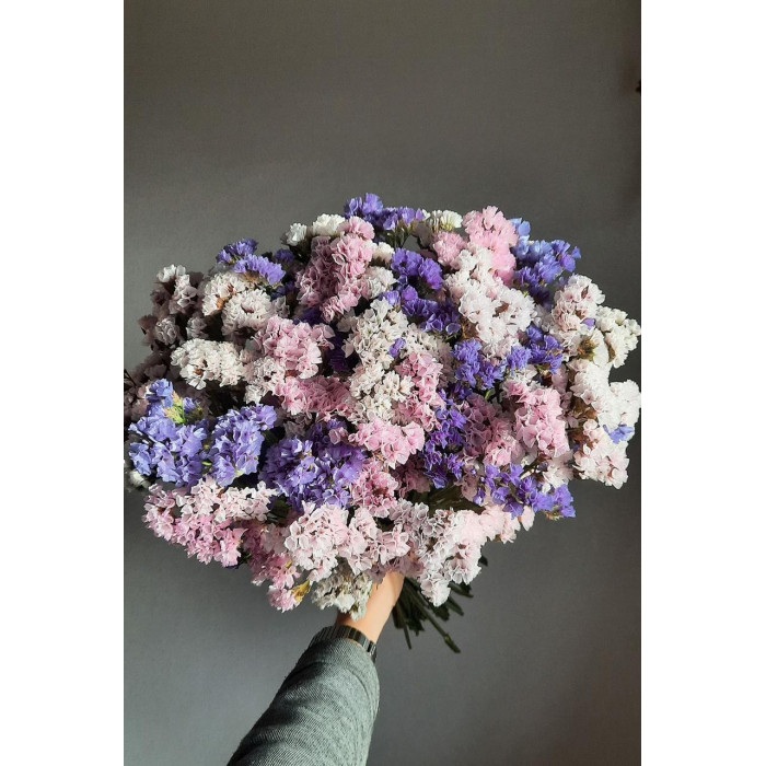 Статица (Лимониум) в Житакаре