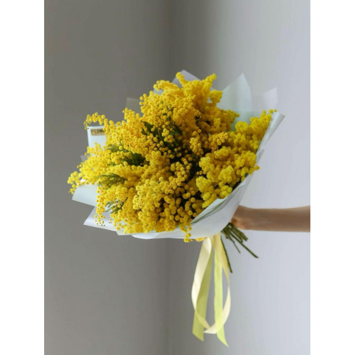 Мимоза в Житакаре