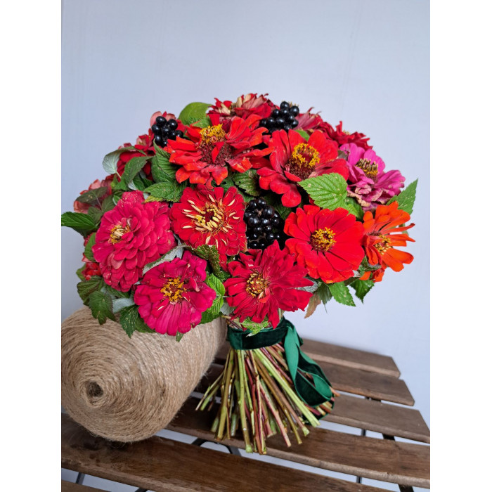 Циния в Житакаре