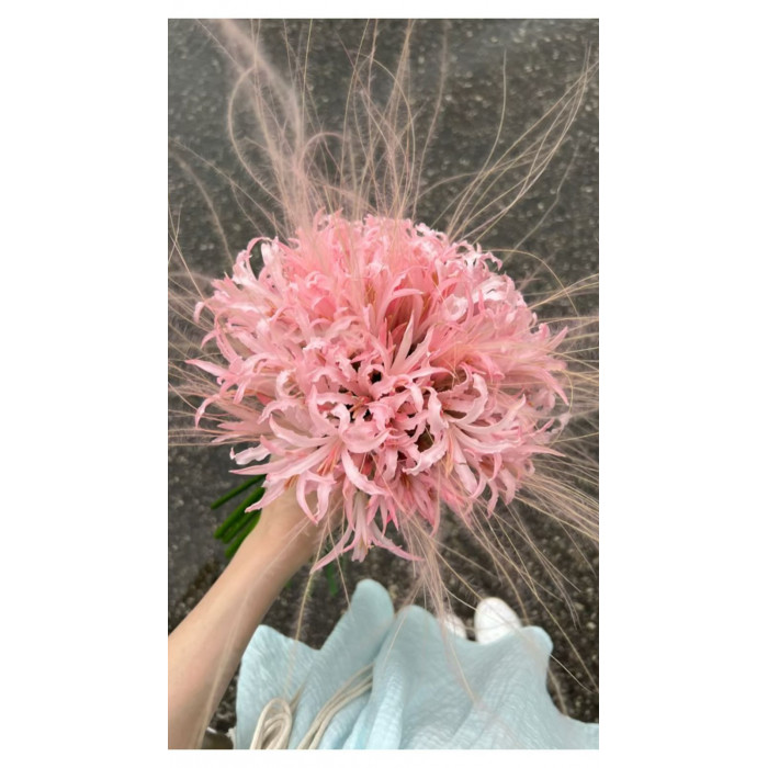 Нерине в Житакаре