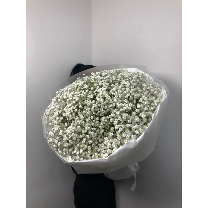 Гипсофила классическая в Житакаре