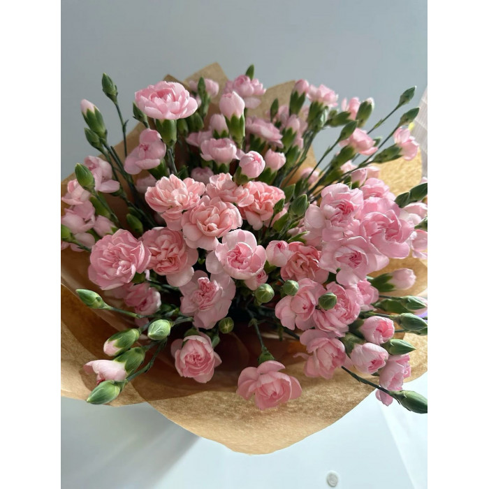 Кустовые гвоздики в Житакаре