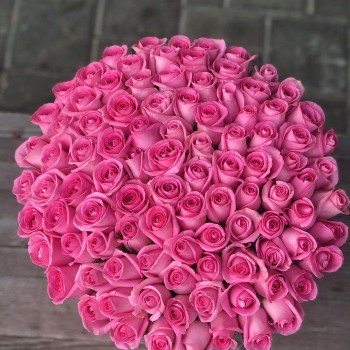 Букет из 75 розовых роз